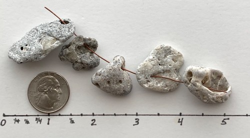 5 Holey Rocks w/Calcite Crystals Beach Hag Stones Fossil Shell Druzy Mystic USA - Picture 3 of 20