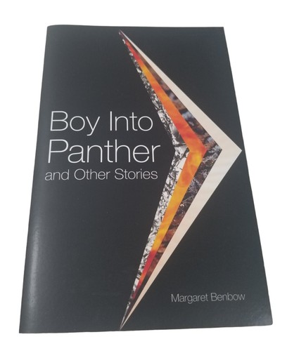 BOY INTO PANTHER AND OTHER STORIES (MANY VOICES PROJECT) By Margaret Benbow - Foto 1 di 5