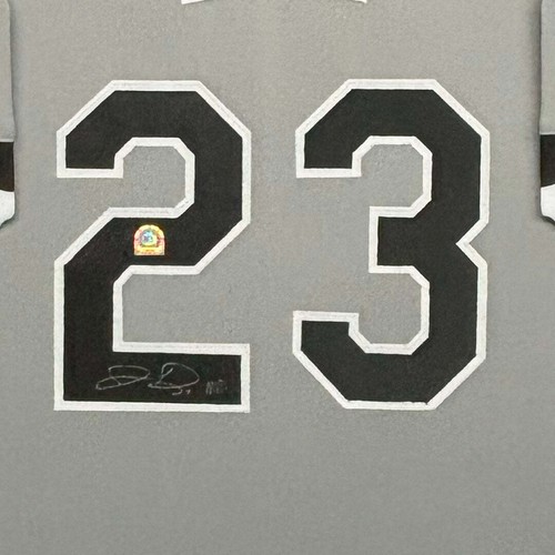 Jermaine Dye Signed MVP Chicago Grey Custom Suede Matte Framed Baseball Jersey ( - Picture 3 of 6