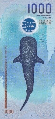 Schönstes Geld der Welt ~ Original Malediven 1000 Rufiyaa Polymer P 31 UNC - Bild 2 von 4