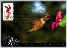 #2645 Rufous Hummingbird Maxi Card