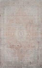 Ornate Vintage Look Rug 5x7 with Soft Hues and Detailed Patterns Distressed rug