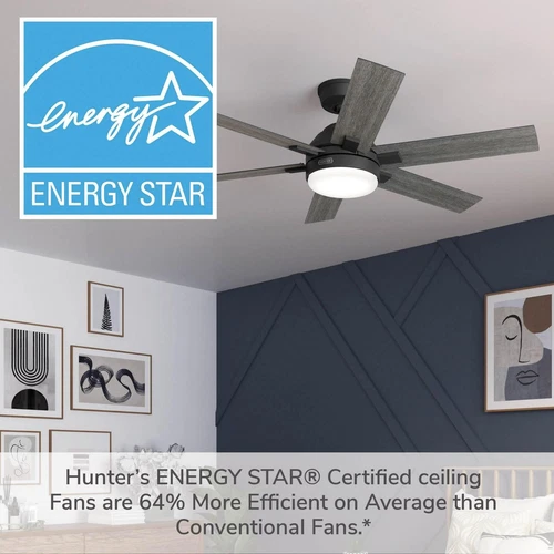 Hunter 52 Georgetown ENERGY STAR Ceiling Fan W/ LED Light, Remote - Contemporary - Picture 7 of 24