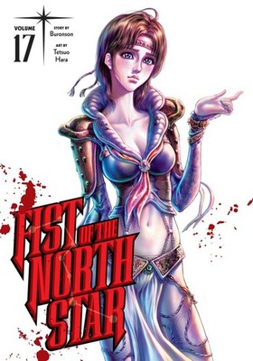 Fist of the North Star (HC Vol. 1-17) English Manga Graphic Novels