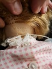 Bild 8 von 8