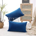  Decorative Throw Pillow Covers Velvet 12x20 Inch 20" x 12" (Pack of 2) Blue