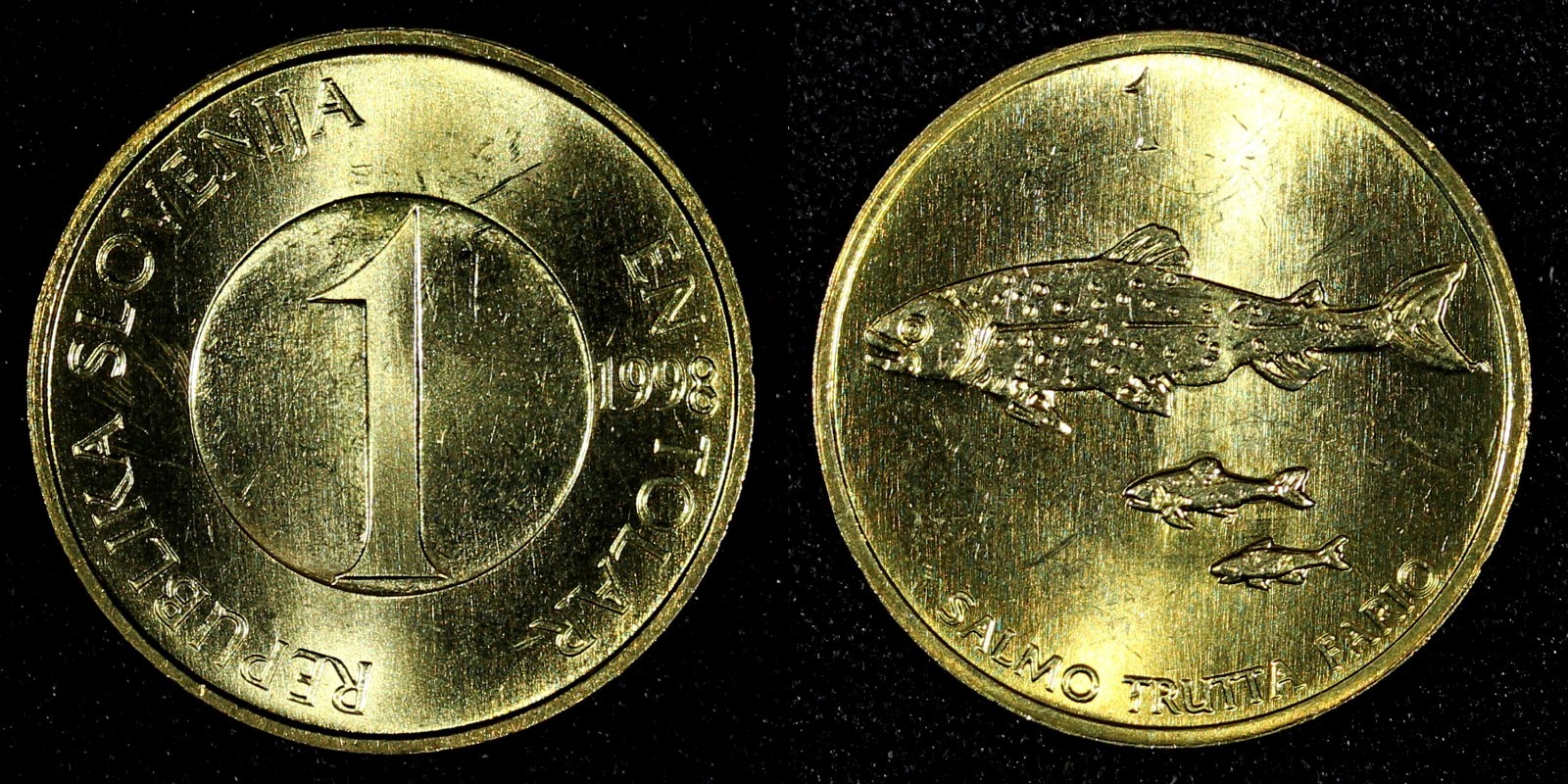 Foto 4 di 5