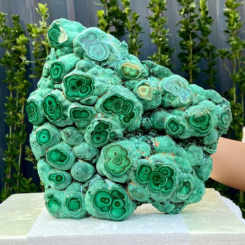 11.5LB Natural glossy malachite cat eye transparent cluster rough mineral Sample - 第 1/18 張圖片