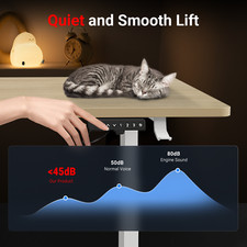 Electric Standing Desk Height Adjustable 100kg Capacity Sit Stand Ergonomic Desk — image 7