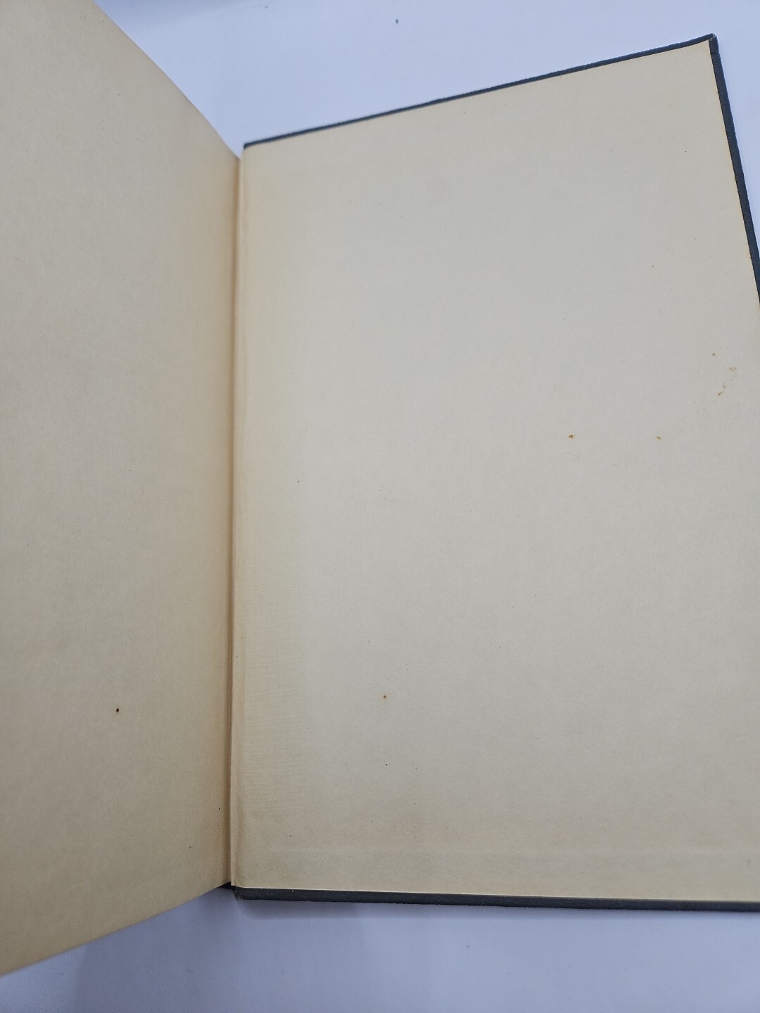 Picture 10 of 24