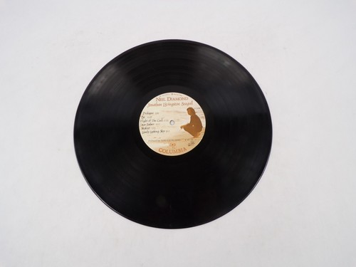 Neil Diamond Jonathan Livingston Seagull Be Flight Of The Gull Vinyl Record - 第 3/4 張圖片