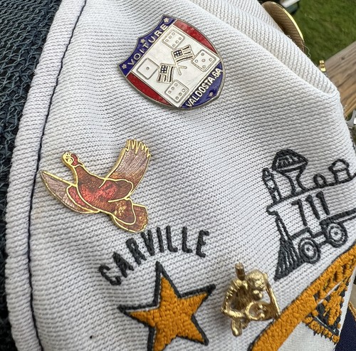 VINTAGE BOY SCOUT HAT WITH LOT OF PINS 1983 Valdosta Georgia South Rebel Dixie - Picture 5 of 10