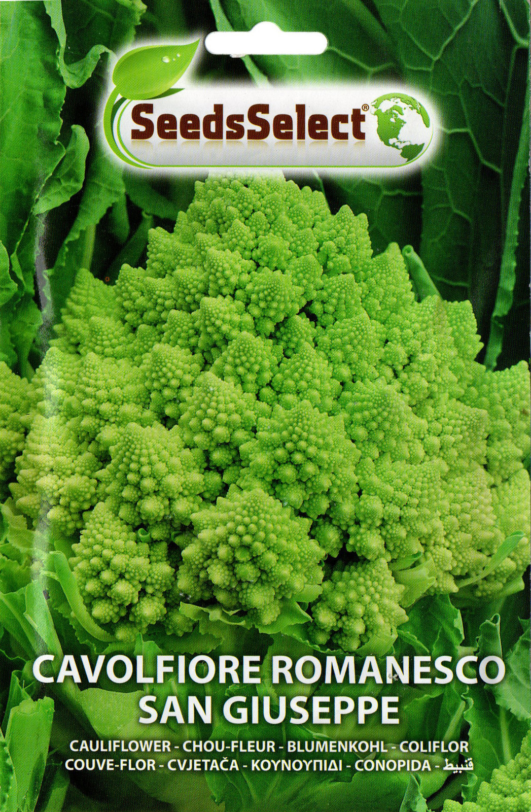 Foto 1 di 1