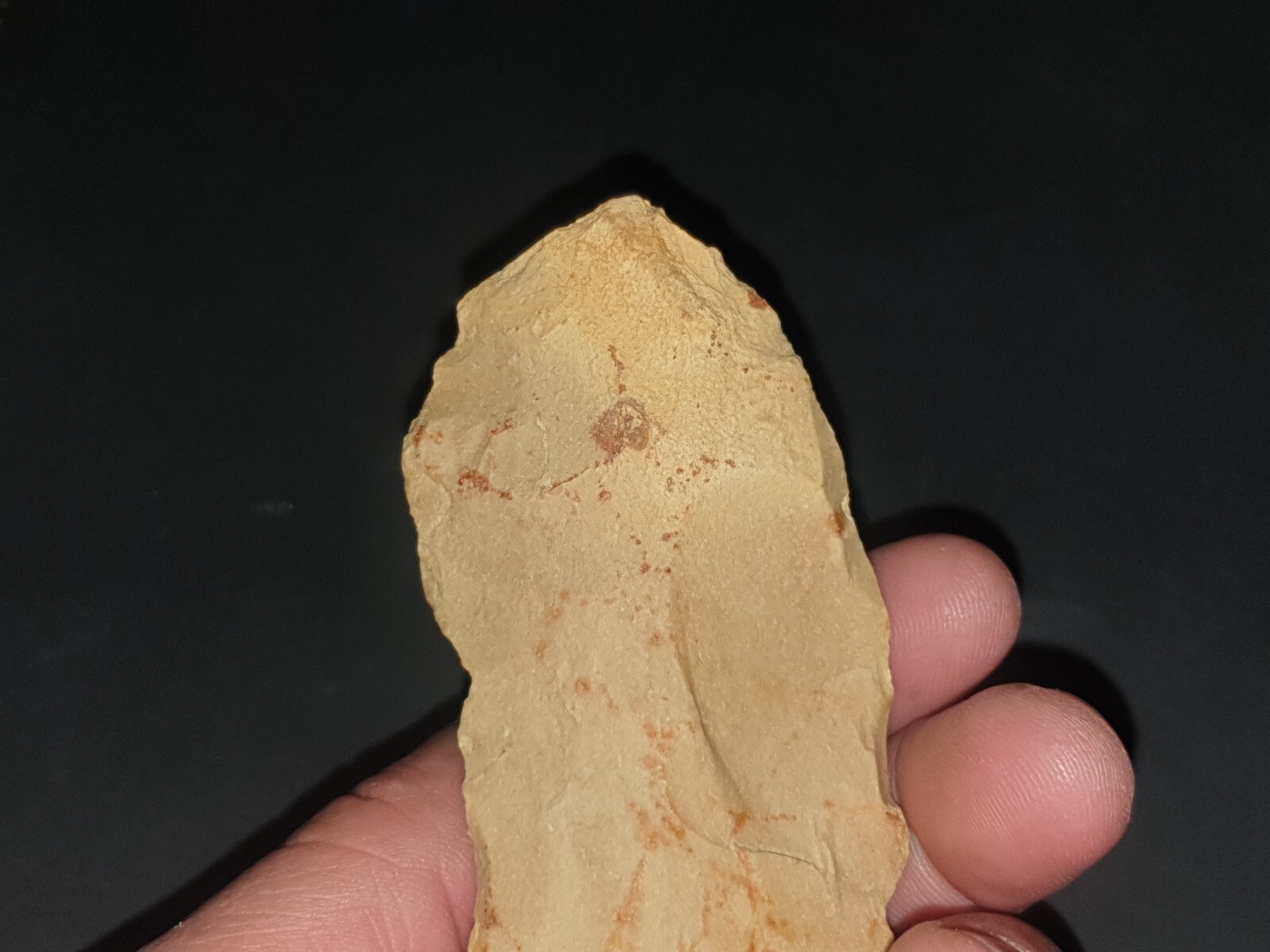 Foto 19 di 19
