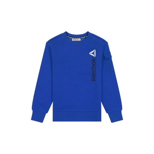 Reebok Blue Green Boys Fleece Hoodie Pullover Logo Sweatshirt Sizes 4-18 - Picture 2 of 11