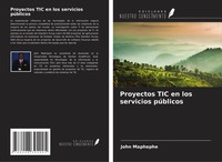 John Maphephe | Proyectos Tic En Los Servicios PúBlicos | Taschenbuch | Spanisch