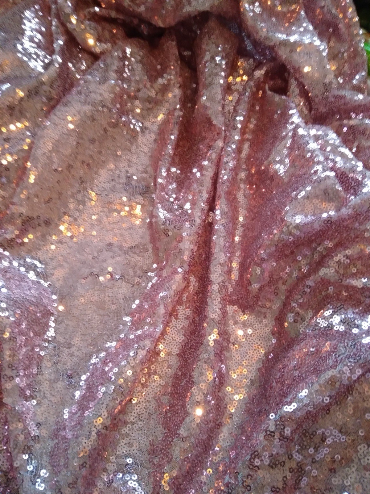 Picture 3 of 5