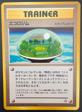 Pokémon TCG Ecogym Neo Genesis Japanese Regular NM