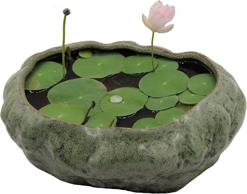 Elegant Premium Ceramic Bonsai Lotus Pot - Patina Glazed Succulent Planter - Picture 3 of 10