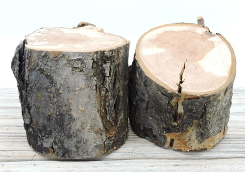 2 Apple Wood Log Chunk Pillar Crafts Live Edge Crotch 3 1/2~4"D 2 1/2~3 5/8"L - Picture 4 of 13