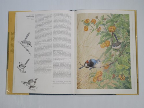 Richard Schodde THE FAIRY WRENS HCDJ Australia New Guinea Blue grasswrens - Picture 3 of 6