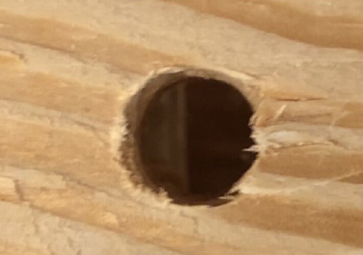 Picture 5 of 7