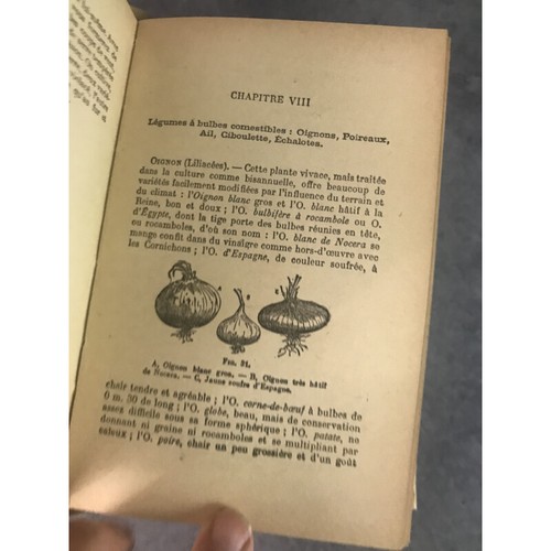 Desmoulins Guide pratique du Jardinier Français ou Traité complet d'Horticulture - Imagen 8 de 12