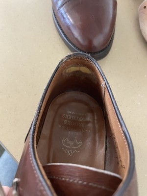 Alden 0972 Walnut Calfskin Straight Tip Blucher