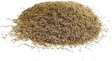 Shady Lawn Seed - 100g for Quick-Germinating Grass in Limited Light 139.50 per kilo