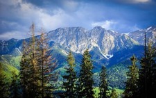 Landscape nature mountains forest carpathians trees Custom Gaming Mat Desk