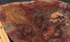 Bild 3 von 12