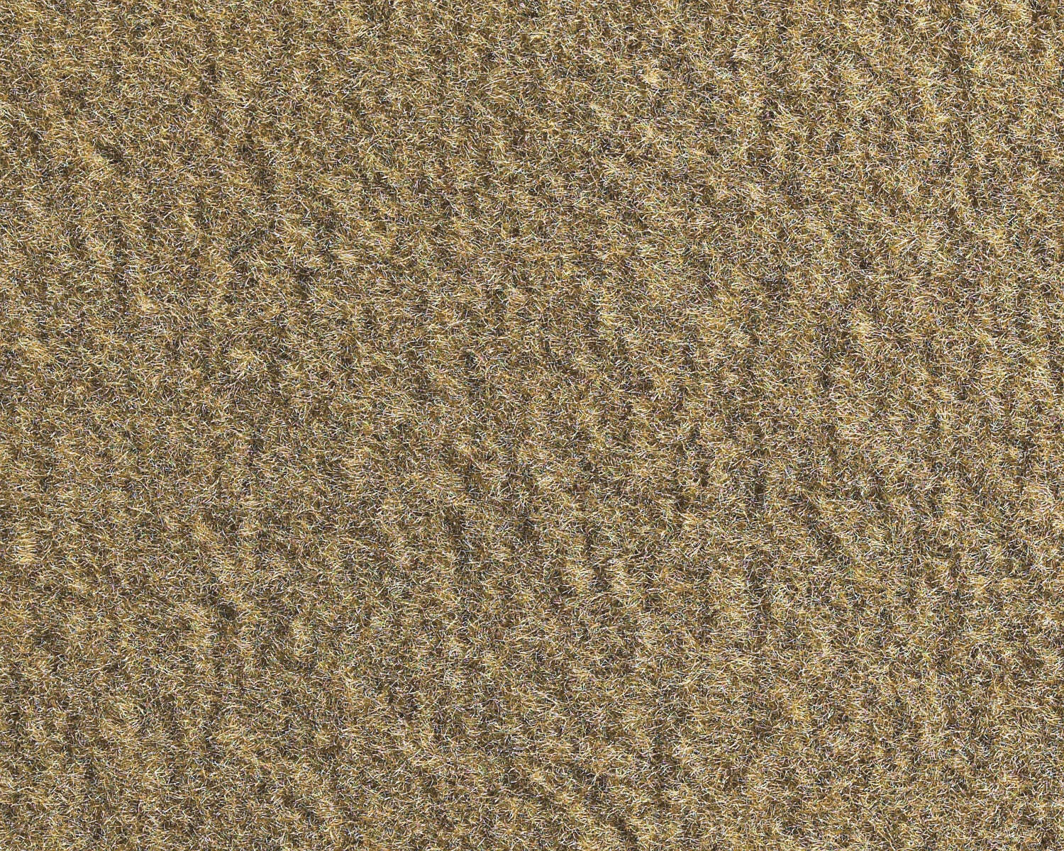 Bild 24 von 53