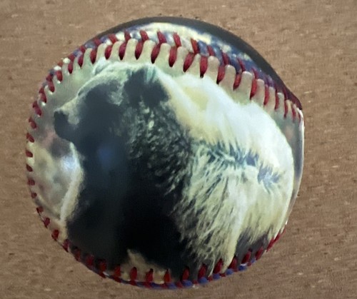 ALASKA JOE BASEBALL - Picture 2 of 4