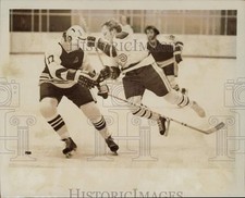 1975 Press Photo Hampton Gulls and Charlotte Checkers play minor-league hockey