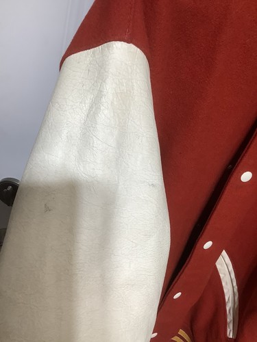 Vintage Redskins Varsity Leather Wool Jacket DeLong XL - Picture 9 of 10