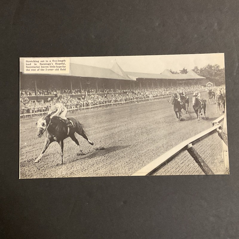 SECRETARIAT photo Horse Racing 1972 HOPEFUL SARATOGA RACE COURSE