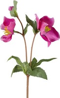 Kunstblume Christrose, 9Er Set, Farbe Orchidee, HöHe Ca. 38 Cm