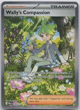 Wally's Compassion Special Illustration Rare ME01: Mega Evolution 186/132 NM
