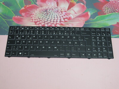Original Tastatur keyboard Clevo Schenker Terra Mobile NJ70CU-16    
