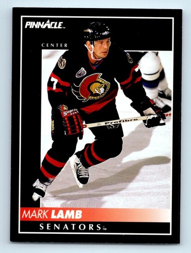 1992-93 PINNACLE Hockey Rookie, Mask & Good Guy Cards #251-420 Take Your Pick! - Picture 249 of 340
