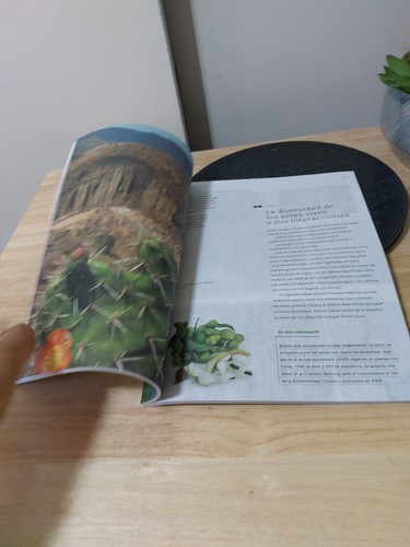 Ciencias Naturales Quinto Grado Spanish Workbook 5th Grade HOMESCHOOLING - Imagen 16 de 22