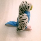 Picture 5 of 8
