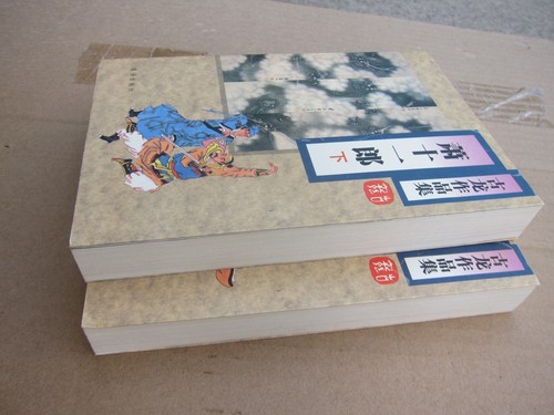 Xiaoshiyilang .萧十一郎 GULONG 古龙 著.全2册.  MARTIAL ART BOOK IN Chinese1995 - Imagen 4 de 11