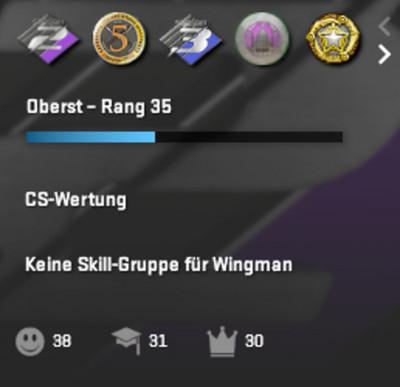 CS2 / Steamaccount, mit Faceit, 60 $ Inventar, Green Trust, 1700 hours, 9 medals