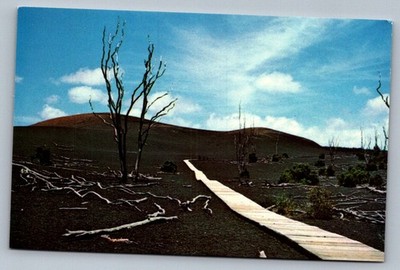 Postcard Hawaii Devastation Trail Kilauea Volcano Park