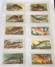 Brooke Bond 1960 Freshwater Fish Trade Cards Full Set Of 50