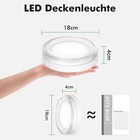 Bild 278 von 350