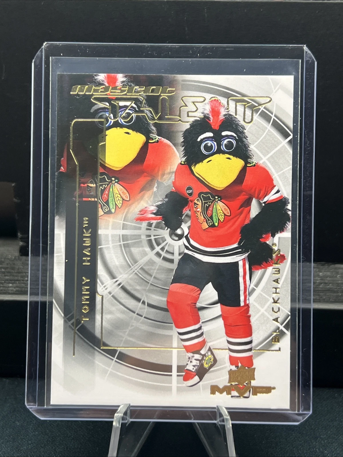 Tommy Hawk trading card