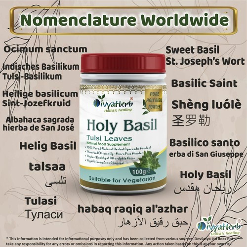 Heiliges Basilikum (Tulsi) Pulver - Bild 3 von 15