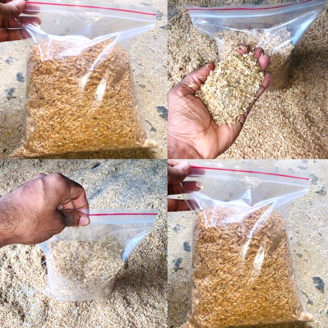 These item new arrived These item new arrived